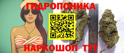 молекула духа Беслан