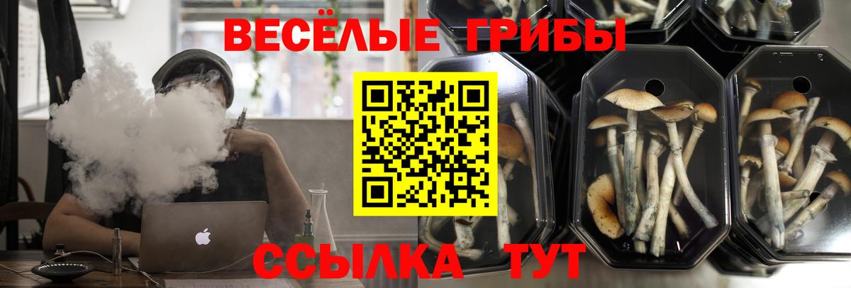 Губкинский  Галлюциногенные грибы GOLDEN TEACHER  Вход с VPN 